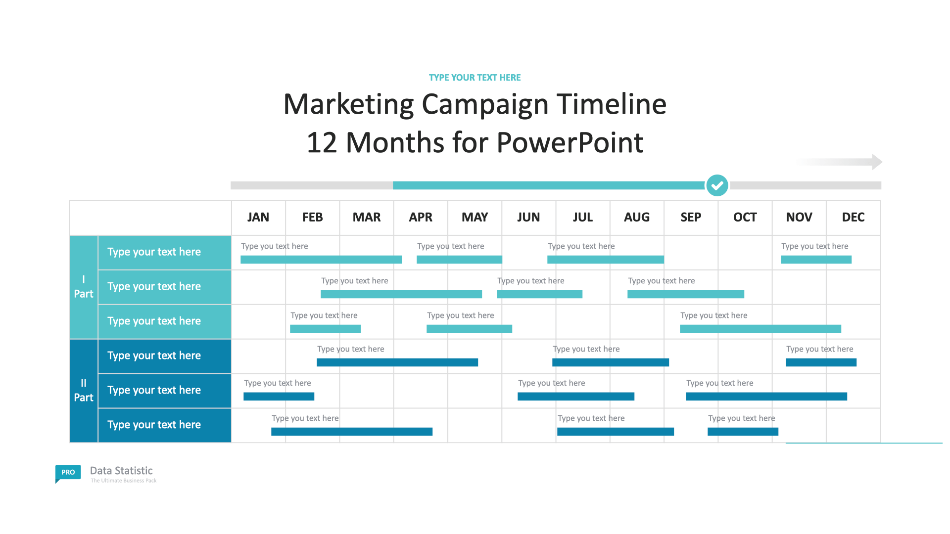 Marketing Campaign Timeline 12 Months Template Free Download