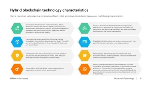 Hybrid blockchain technology characteristics